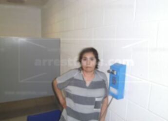 Lilia Estrada Flores