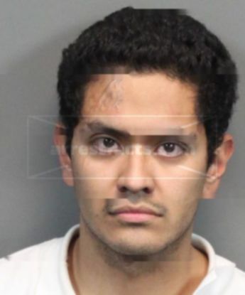 Carlos Alvarado