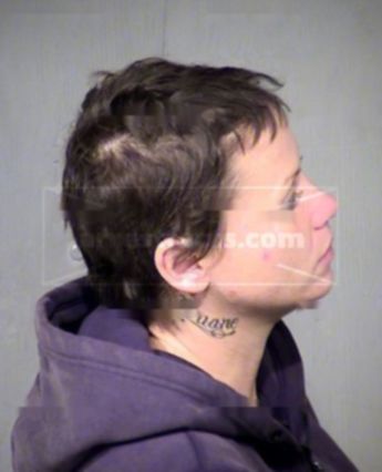 Sarah Ann Anderson