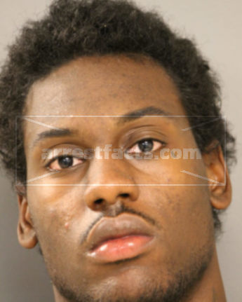 Timothy J Williams