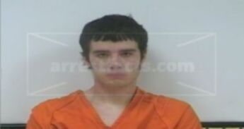Travis L Cavin