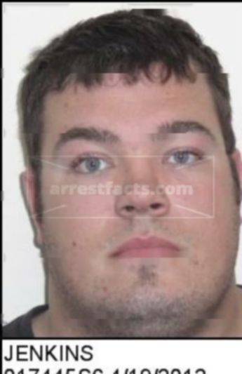 Rodney Levi Jenkins