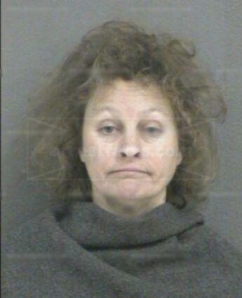 Lisa A Brinkley