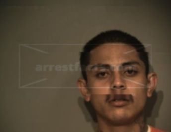 Gilbert Trevino Vela