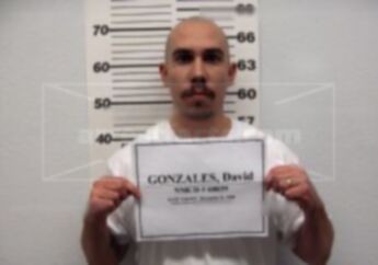David Wayne Gonzales