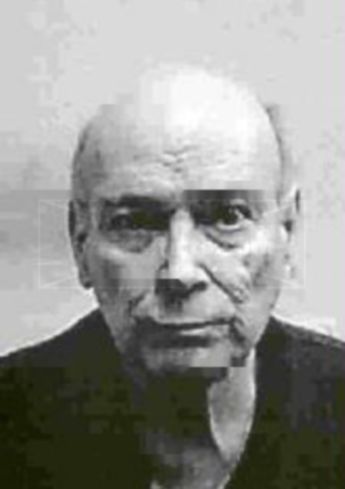 Hector Homer De-Los-Santos