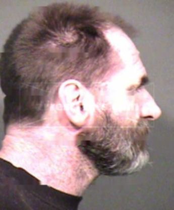 Robert J Gibson