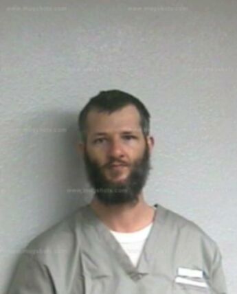 Daniel D Allen