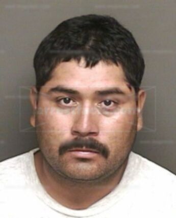 Miguel J Torres-Perez