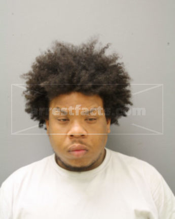 Leon L Williams