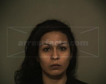 Ana Lydia Villarreal