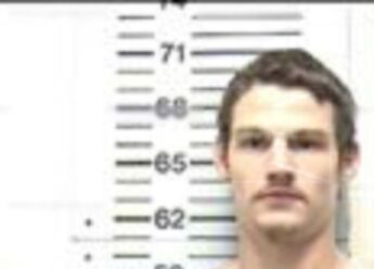 Michael Wallace Lewis
