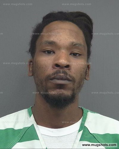 Darwin Erastus Taylor