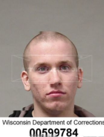 Justin M Schmidt