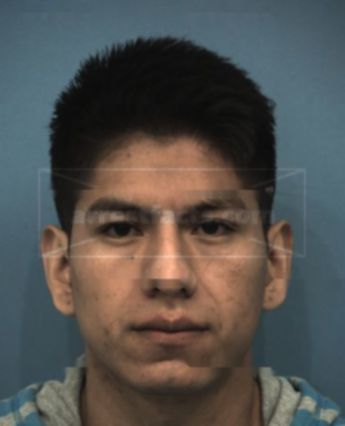 Efrain Hernandez-Navarro