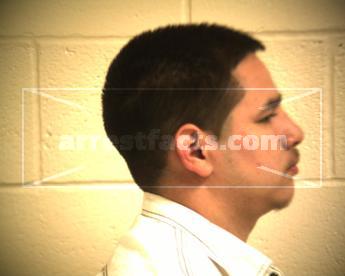 Michael Arnulfo Herrera Canales