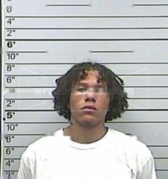 Daniel J Lamb