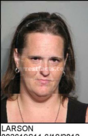 Karen Sheehan Colwell Larson