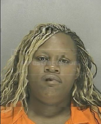 Sarah Lafaye Brinson