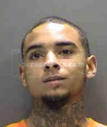 Niko Christopher Curington