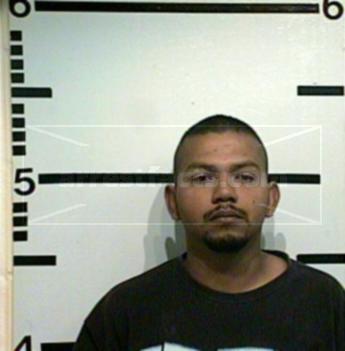 Julian Aleman Pena
