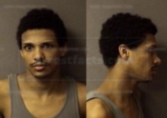 Dustin Levi Hoyer