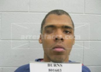 Stephen Allen Burns