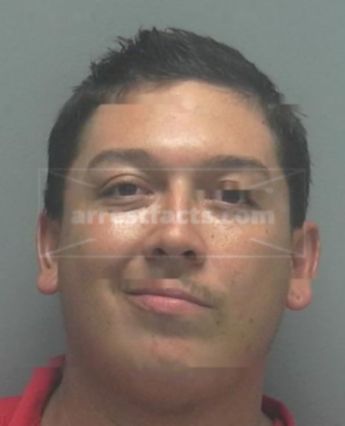 Brandon Areno Shelby