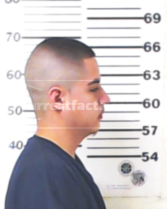 Bryan Gomez