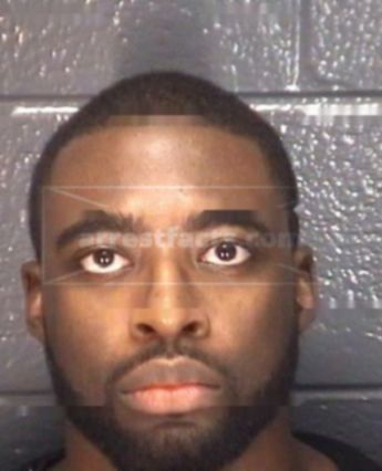 Jonathan L Williams