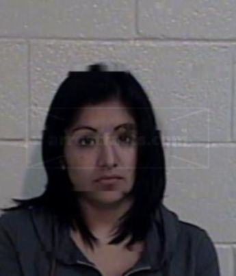 Sandra Rosie Rogel Villanueva