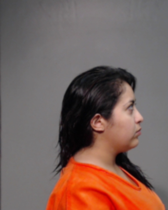 Vivian Galvan Villarreal