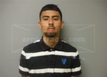 Gibran Alexis Triana-Soto