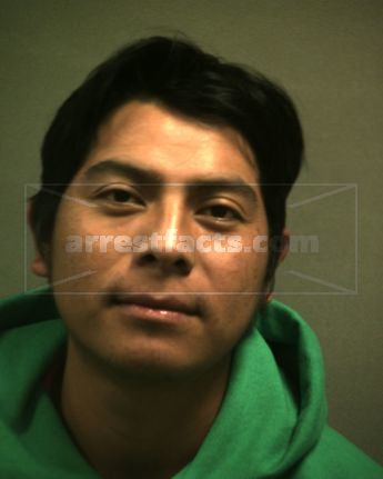 Nicolas Sanchez-Mendez