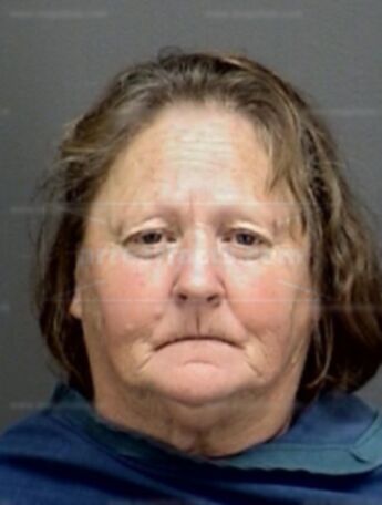 Karen Avis Bayless