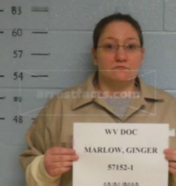 Ginger Jean Marlow