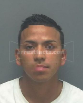 Nelson Ubaldino Navarro