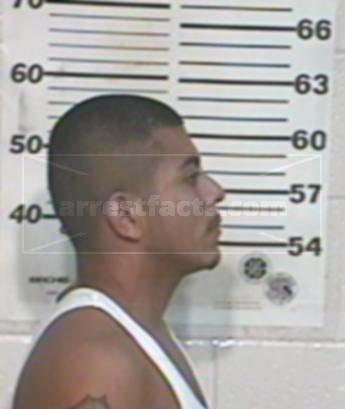 Pedro Enrique Herrera Solis