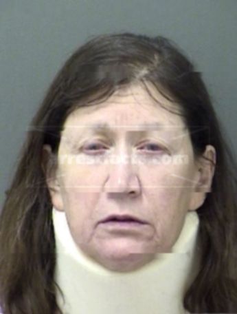 Sally Ann Parks