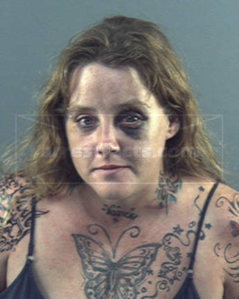 Sherry L Leroy