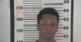 Iren Jevon Henry