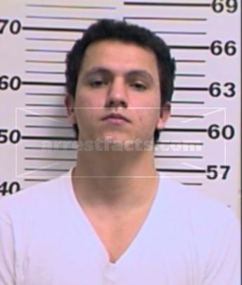 William Bruce Hickman