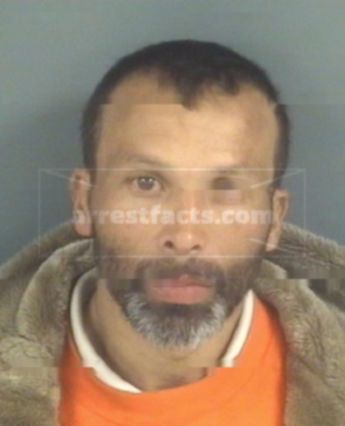 Lacy Terry Hamilton