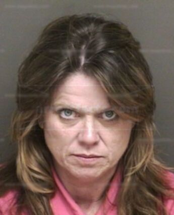 Donna L Arey