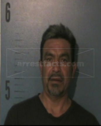 Apolinar Flores-Lopez