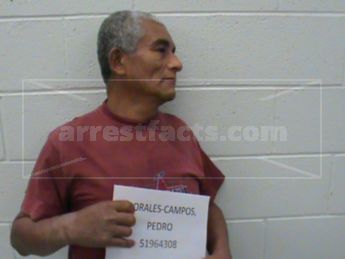 Pedro Morales-Campos