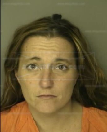 Allison Renee Allinder
