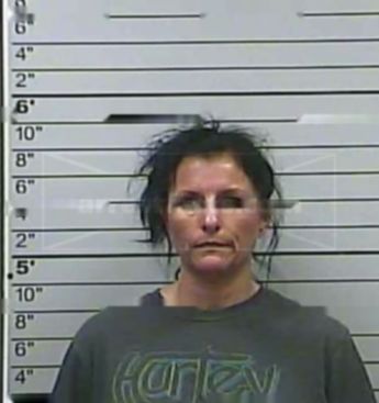 Catherine L Higginbotham