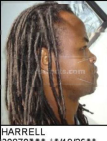 Terrence L Harrell