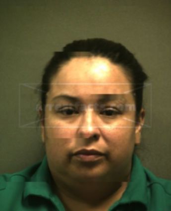 Amy Elaine Segura